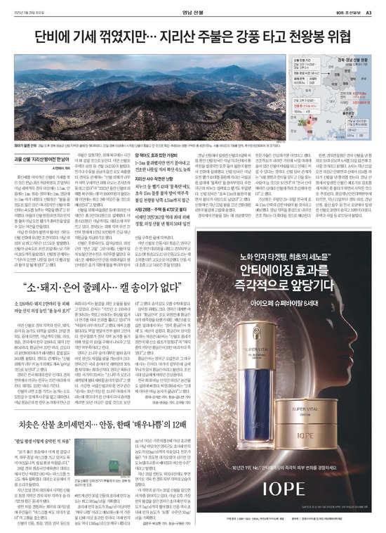 �̹����� Ŭ���ϸ� ���� PDF�� �����ϴ�.